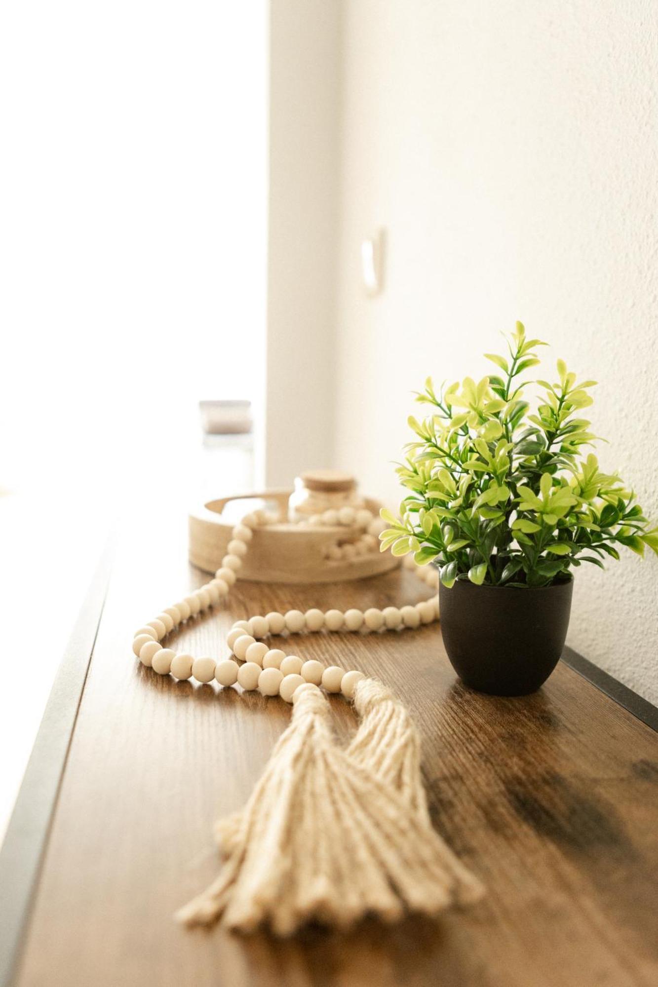 Neu, Superior Apartment 229, Im Oberharz, Mit Sauna & Schwimmbad, Entspannung Pur Braunlage Eksteriør billede